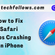 Fix Safari Keeps Crashing on iPhone (1)