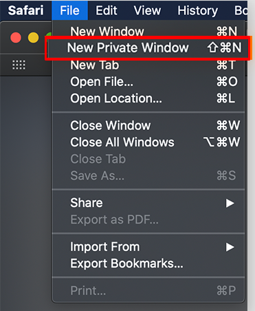 Click on New Private Window to open  incognito mode in Safari