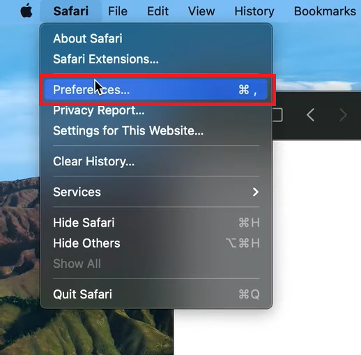 Go to preferences on Safari browser