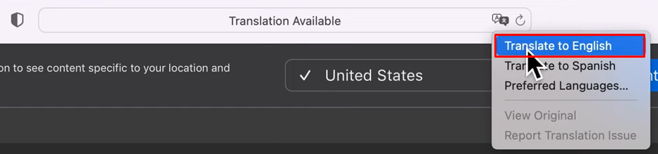 Click on the option Translate to English to translate a page on Safari