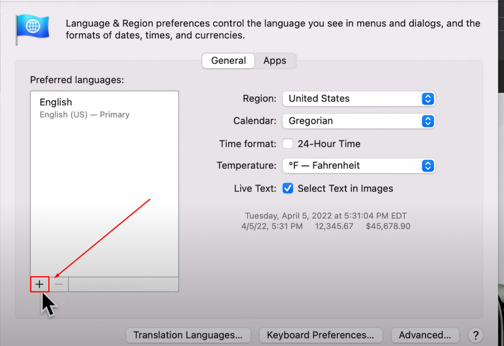 Click on the +icon to Translate a Page on Safari