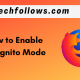 Incognito Mode in Firefox