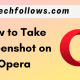 Opera Screenshot