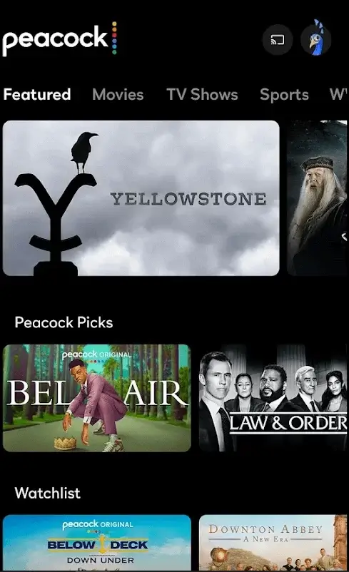 Tap the Cast icon on the top right corner of the media player screen to watch Peacock TV on LG TV