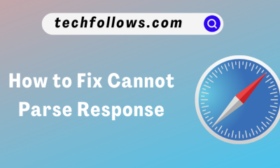 Safari Cannot Parse Response