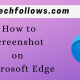 Screenshot on Microsoft Edge