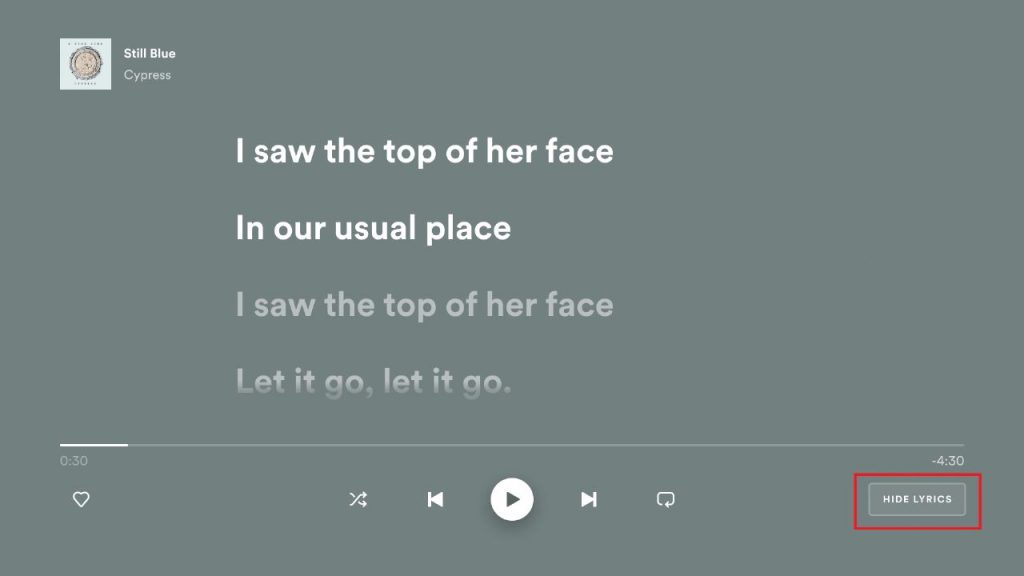 Lyrics on Spotify