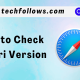 Check Safari version