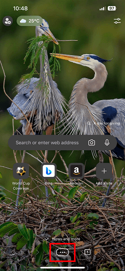 Select More icon. delete cookies in Edge browser