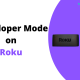 Developer Mode on Roku