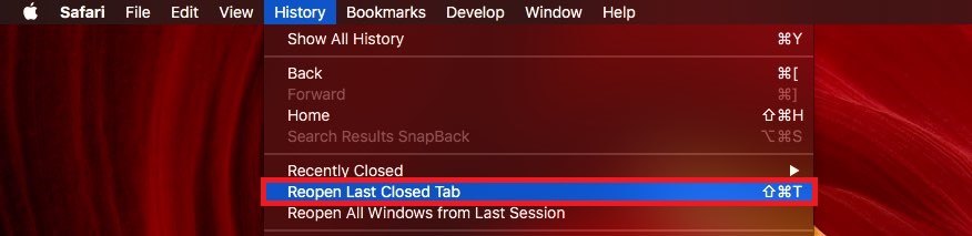 Click Reopen Last Closed Tab to reopen the closed tab on on Safari