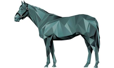 NFT Horse Racing