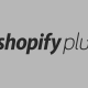 Shopify Plus Features