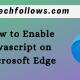 enable javascript on microsoft edge