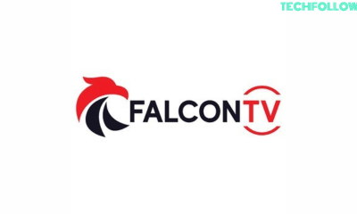 Falcon TV IPTV