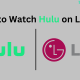 Hulu on LGTV