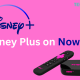 Disney Plus on NOW TV