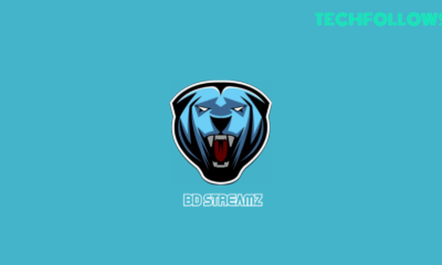 BD Streamz Review: Features, Pricing, and Installation