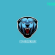 BD Streamz Review: Features, Pricing, and Installation