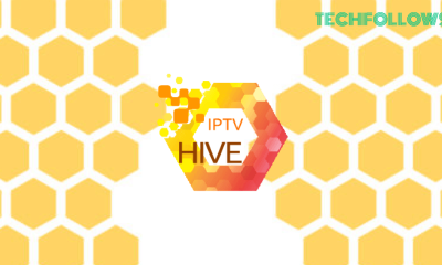 Hive IPTV Review: Features, Pricing and Installation