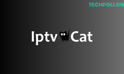 IPTV Cat 7