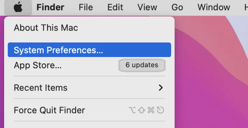 Select System Preferences