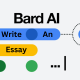 Write an essay using Google Bard