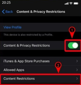 Enable Content & Privacy Restrictions and select Content Restrictions