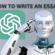 How to write an essay using ChatGPT