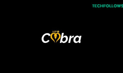 Cobra IPTV