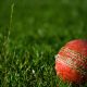 Betting Apps for Major Cricket League (2) (1)