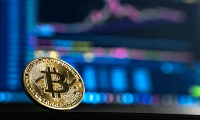 Growing Popularity of Cryptocurrencies