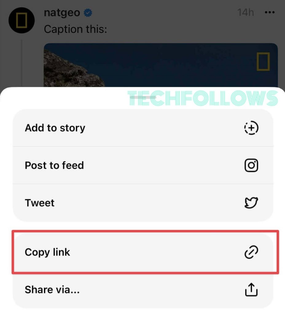 Select the Copy link option to Download Videos from Threads