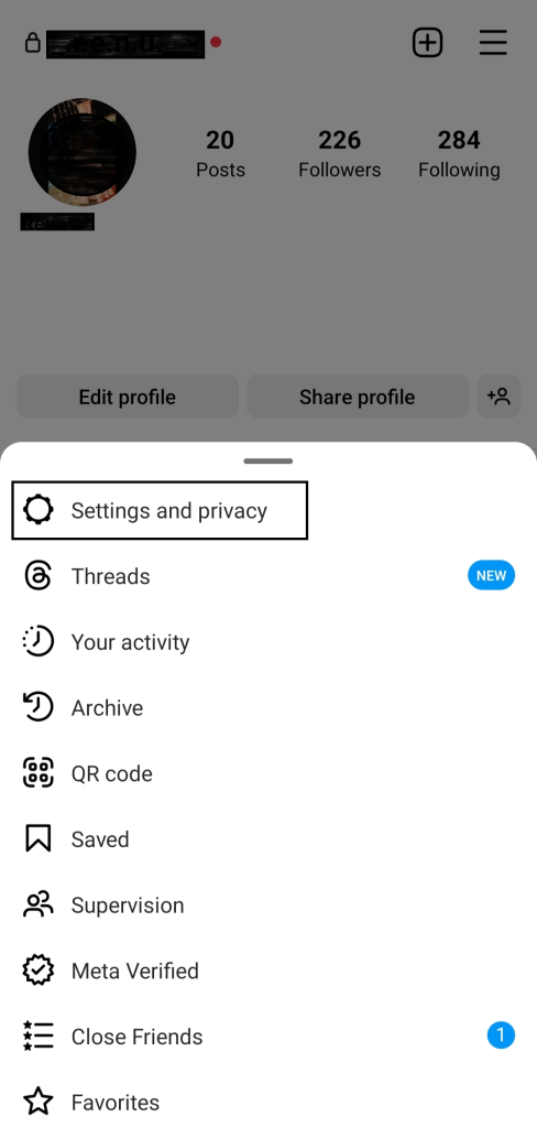 Click Settings and privacy