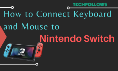 How to Connect Keyboard and Mouse to Nintendo Switch