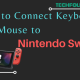 How to Connect Keyboard and Mouse to Nintendo Switch