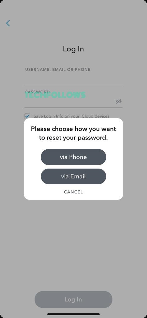 Two option to reset the password