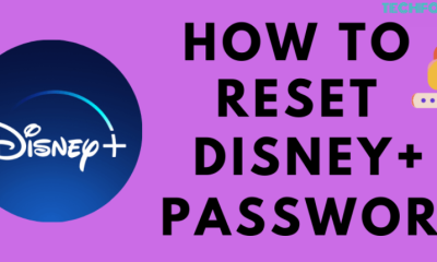 Reset Disney Plus Password