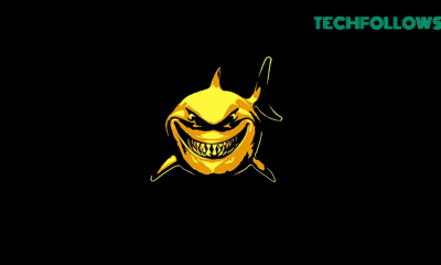 Shark IPTV