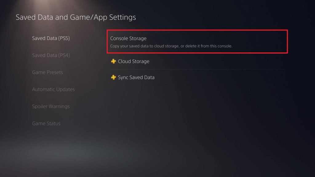 Select Console Storage