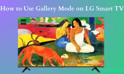 LG TV Gallery Mode