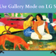 LG TV Gallery Mode