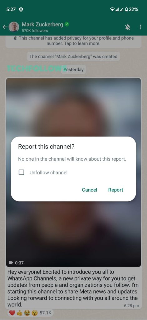 Report the WhatsApp Channel