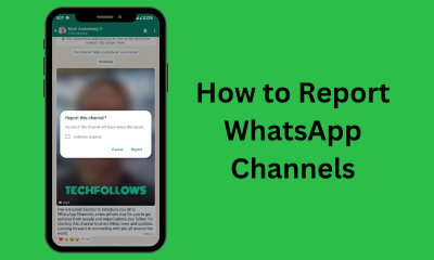 Report WhatsApp Channel