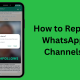 Report WhatsApp Channel