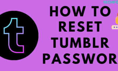 Reset Tumblr password