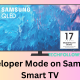 Samsung TV Developer Mode