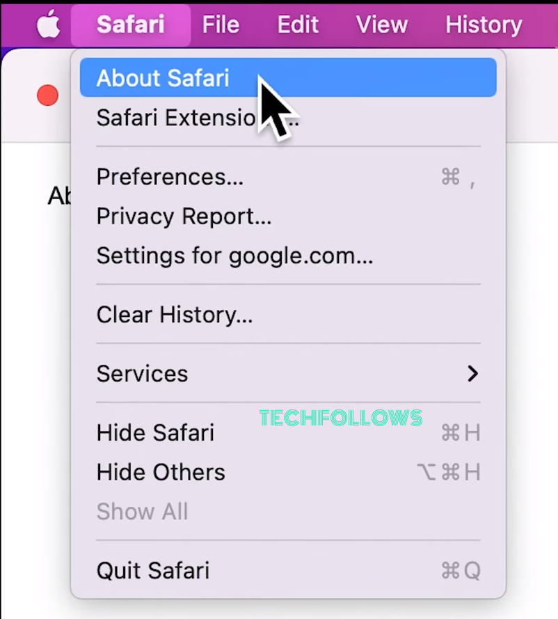 Choose About Safari option