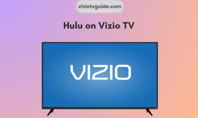 Hulu on Vizio TV
