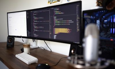 Software Development